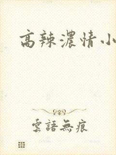 高辣浓情小说