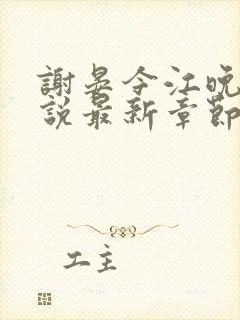 谢晏今江晚音小说最新章节更新封面