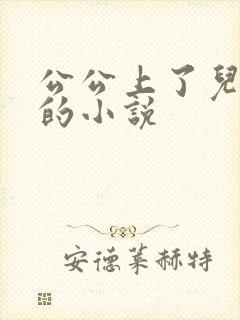 公公上了儿媳妇的小说