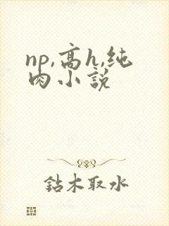 np,高h,纯肉小说
