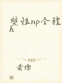 双性np全程高h