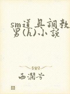 sm道具调教男男(h)小说