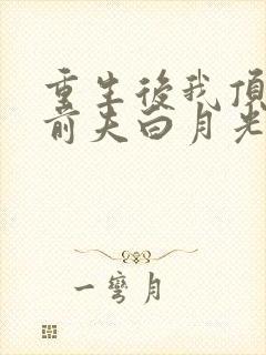 重生后我顶替了前夫白月光讲的什么