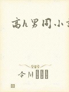 高h男同小说