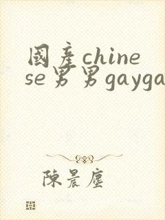 国产chinese男男gaygay无套网站