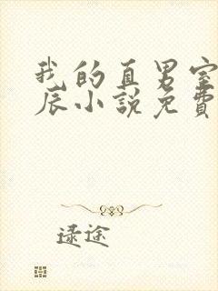 我的直男室友张辰小说免费阅读