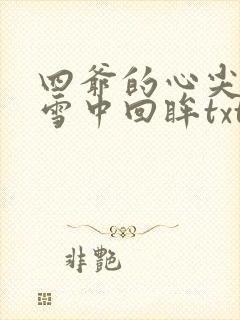 四爷的心尖宠妃雪中回眸txt