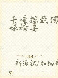 千亿总裁独宠替嫁娇妻