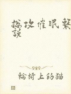 总攻催眠系统小说