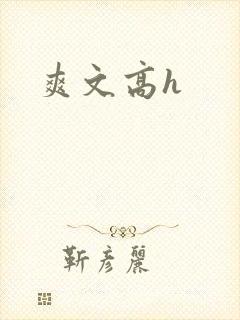 爽文高h封面