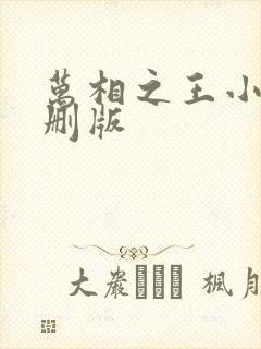 万相之王小说未删版