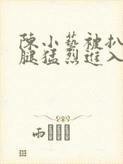 陈小艺被扒开双腿猛烈进入封面