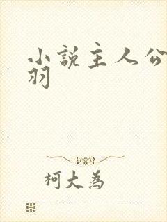 小说主人公叫陆羽封面