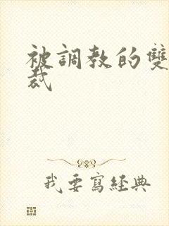 被调教的双性总裁
