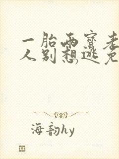 一胎两宝老婆大人别想逃免费阅读封面