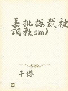 长批总裁被哭(调教sm)封面