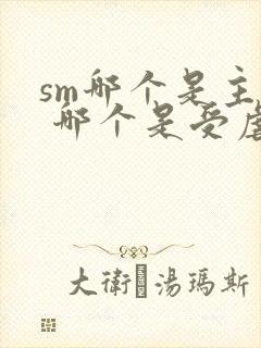 sm哪个是主人 哪个是受虐