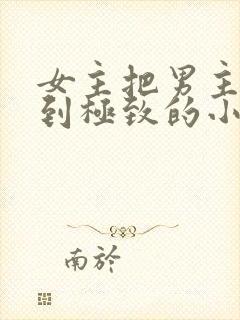 女主把男主囚禁到极致的小说