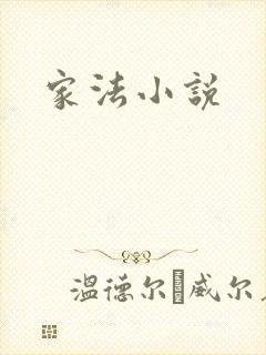 家法小说