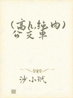 (高h,纯肉)公交车封面