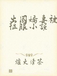 出国娇妻被黑人征服小说封面