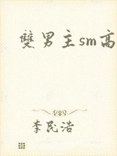 双男主sm高h