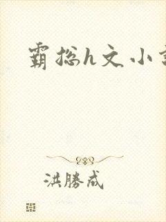 霸总h文小说