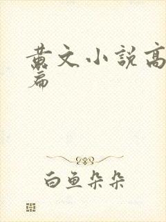 黄文小说高h短篇