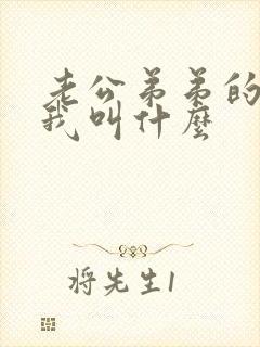 老公弟弟的老婆我叫什么