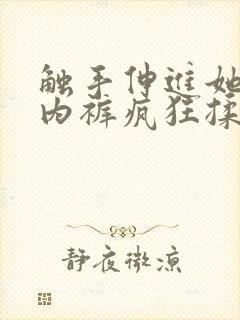 触手伸进她的小内裤疯狂揉摸封面