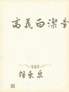 高义白洁章节封面