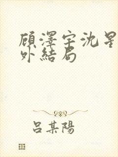 顾泽宇沈星晚番外结局