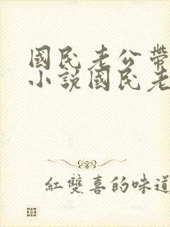 国民老公带回家小说国民老公带回家