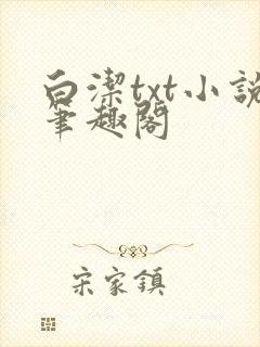 白洁txt小说笔趣阁
