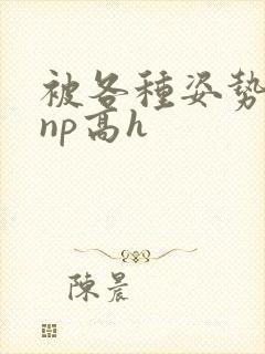 被各种姿势玩弄np高h