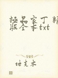 极品家丁 精校版全本txt