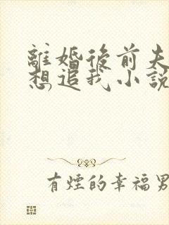 离婚后前夫总是想追我小说免费阅读全本