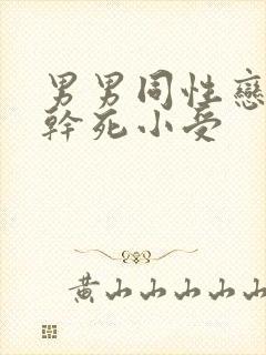 男男同性恋小说干死小受