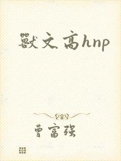 兽文高hnp