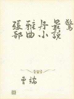 张雅丹最惊艳三部曲小说