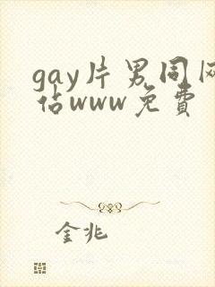 gay片男同网站www免费