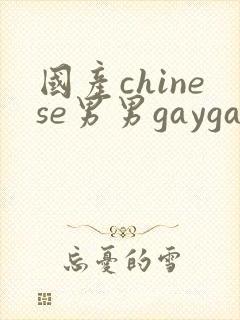 国产chinese男男gaygay网址搜索