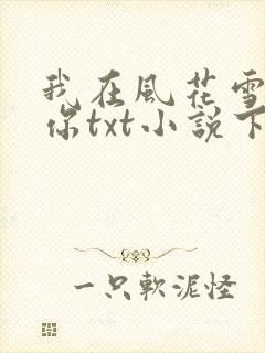 我在风花雪月等你txt小说下载