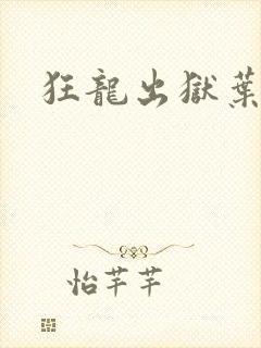 狂龙出狱叶风