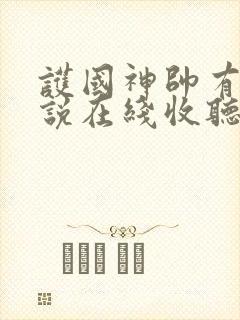 护国神帅有声小说在线收听