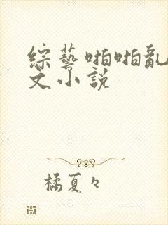 综艺啪啪乱淫h文小说