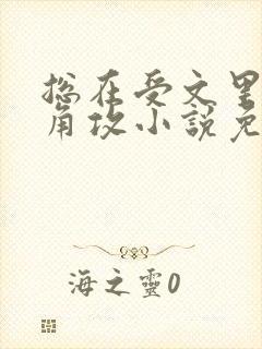 总在受文里抢主角攻小说免费阅读