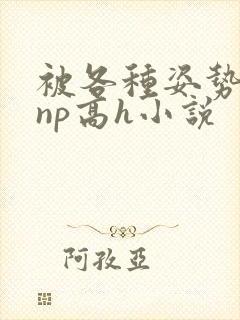被各种姿势玩弄np高h小说