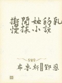 撕开她的乳罩慢慢揉小说