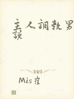 主人调教男奴小说封面